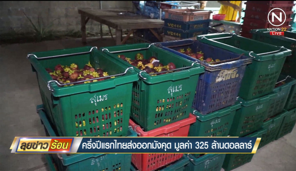 ครึ่งปีแรกไทยส่งออกมังคุดมูลค่า 325 ล้านดอลลาร์ ครึ่งปีแรกไทยส่งออกมังคุดมูลค่า 325 ล้านดอลลาร์