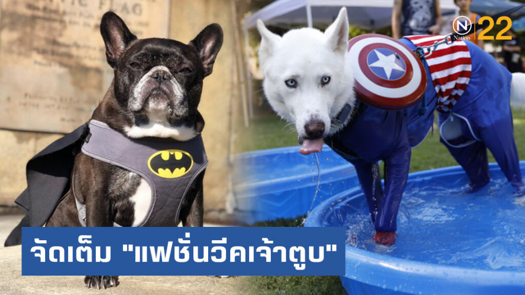 ส่องความน่ารัก! งาน "แฟชั่นวีคเจ้าตูบ" แบบไม่มีใครยอมใคร