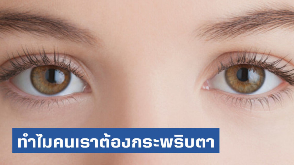 รู้ไหมทำไมคนเราต้องกระพริบตา