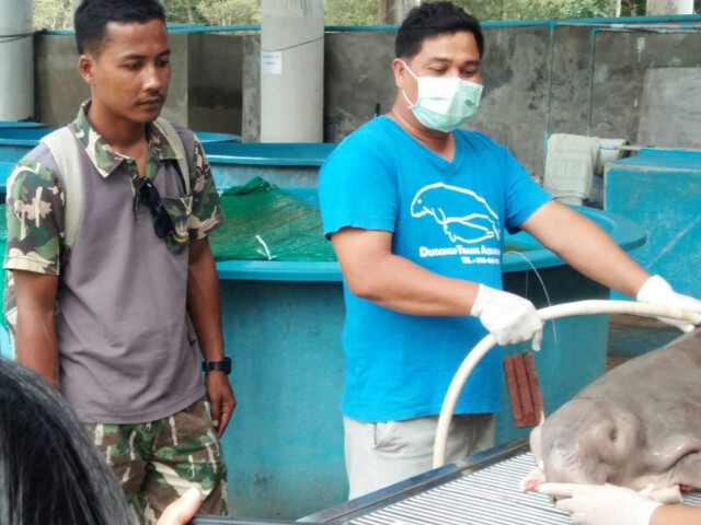 บอกลา​ "มาเรียม"​ ทีมดูแลอาบน้ำเช็ดตัวให้เป็นครั้งสุดท้าย