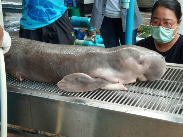 บอกลา​ "มาเรียม"​ ทีมดูแลอาบน้ำเช็ดตัวให้เป็นครั้งสุดท้าย