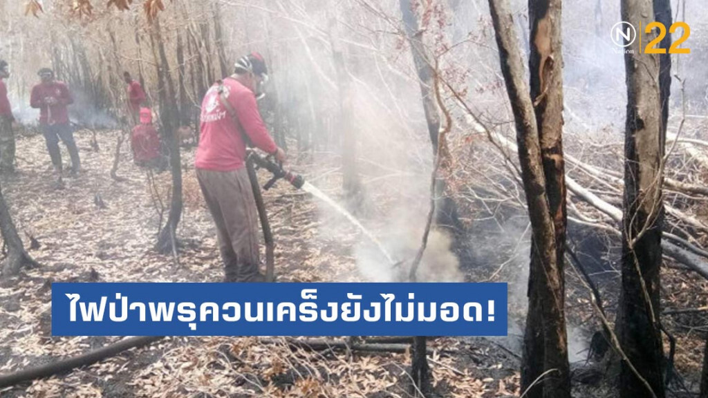 ไฟป่าพรุควนเคร็งยังไม่มอด! พบกลุ่มควันจากใต้ดิน​ เฝ้าระวังจากใต้ดิน