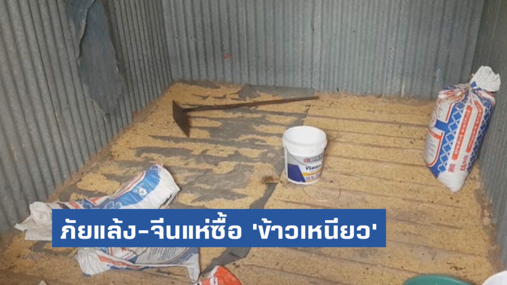 ภัยแล้ง-จีนแห่ซื้อ 'ข้าวเหนียว' ราคาพุ่ง 75%