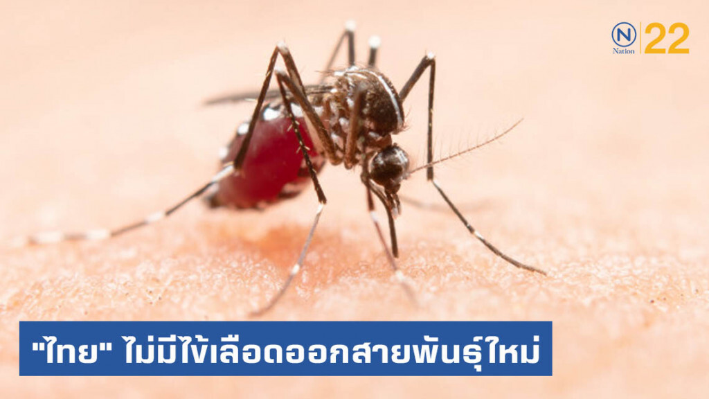 กรมควบคุมโรค ย้ำ "ไทย"​ ไม่มีไข้เลือดออกสายพันธุ์ใหม่ มีเพียง 4 สายพันธุ์เท่านั้น