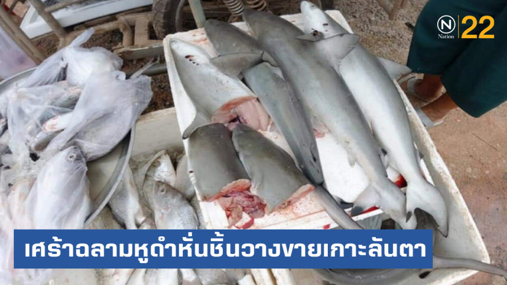 ดร.ธรณ์ เศร้าฉลามหูดำหั่นชิ้นวางขายเกาะลันตา​ ดันขึ้นทะเบียนเป็นสัตว์คุ้มครอง!