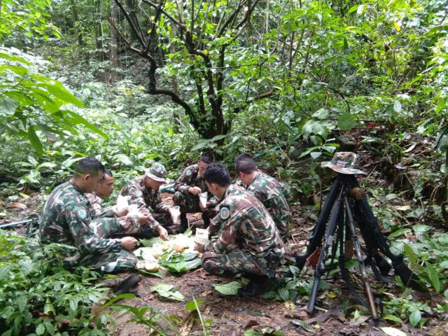 สำรวจป่าอุทยานแห่งชาติแม่เมย ดินแดนอันซีนทะเลหมอกเมืองไทย