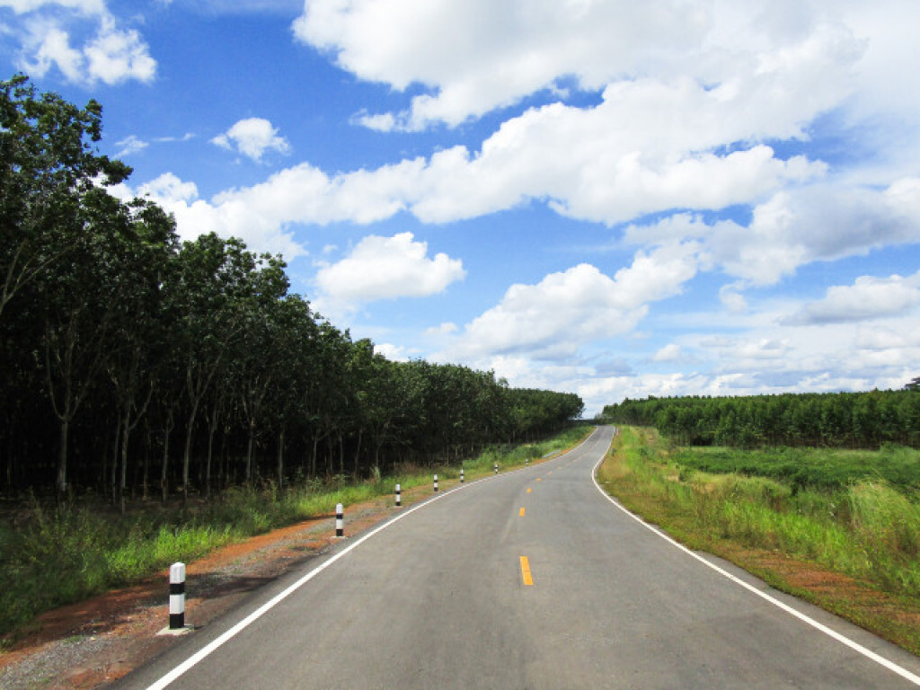 ทางหลวงชนบทสร้างถนนอ้อมเขตรักษาพันธุ์สัตว์ป่าเขาอ่างฤาไน