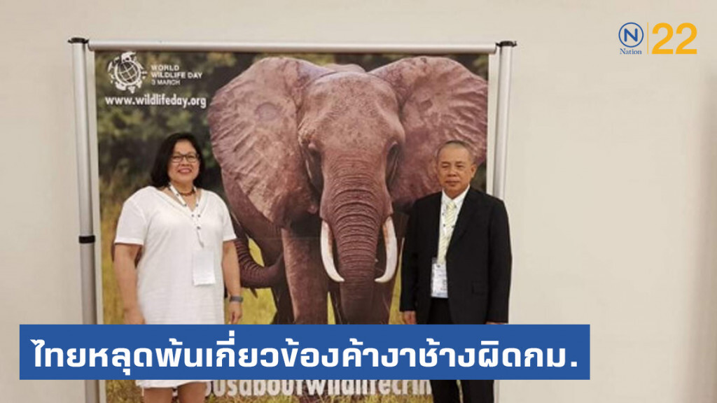 ข่าวดี! ไทยหลุดพ้นจากการเกี่ยวข้องกับการค้างาช้างผิดกฎหมาย