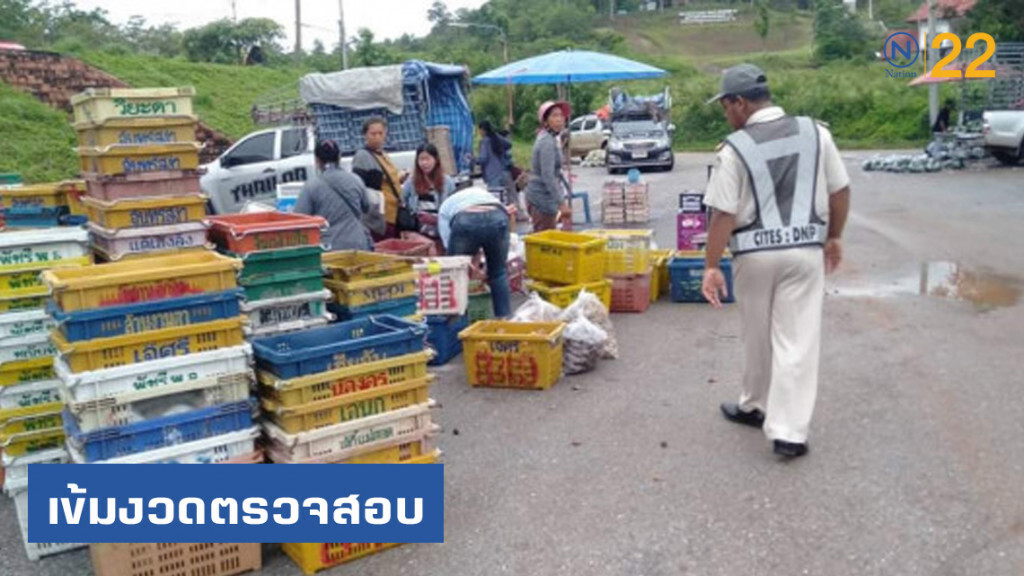 ด่านตรวจสัตว์ป่าทุ่งช้าง เข้มงวดตรวจสอบการนำเข้าส่งออกด้านสัตว์ป่า - อนุสัญญา cites