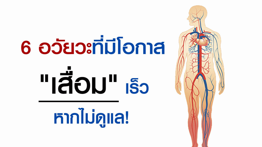 6 อวัยวะที่มีโอกาส "เสื่อม" เร็ว หากไม่ดูแล!