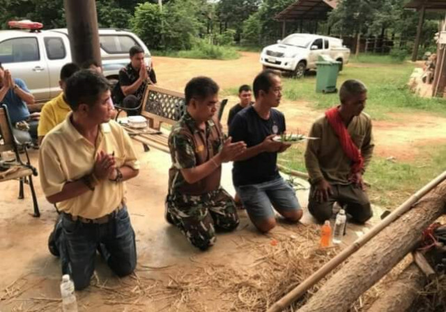 เคลื่อนย้ายลูกช้าง​ "ชบาแก้ว"​ กลับ ขสป.ภูวัว ได้อย่างปลอดภัย