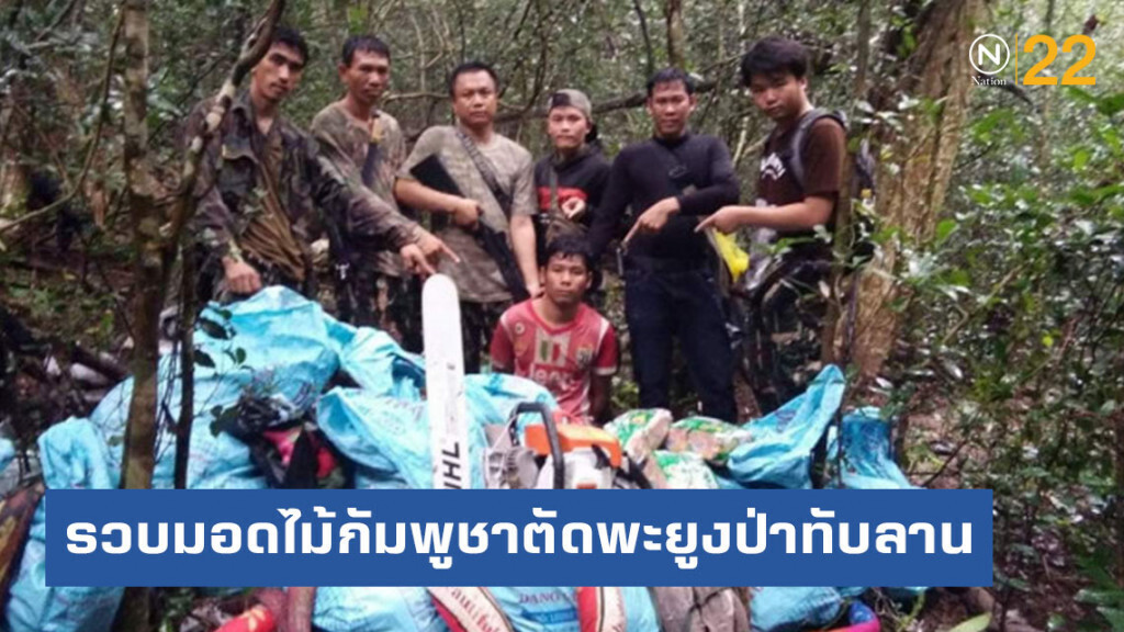 รวบมอดไม้กัมพูชาตัดพะยูงป่าทับลาน​ จนท.บาดเจ็บ​ 1​ ราย