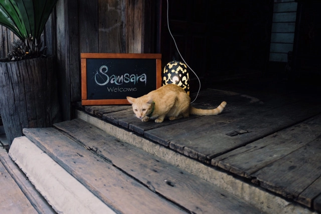 หลบความวุ่นวายไปนั่งชิล ที่ "Samsara Bar" บาร์ลับๆ ริมเจ้าพระยา