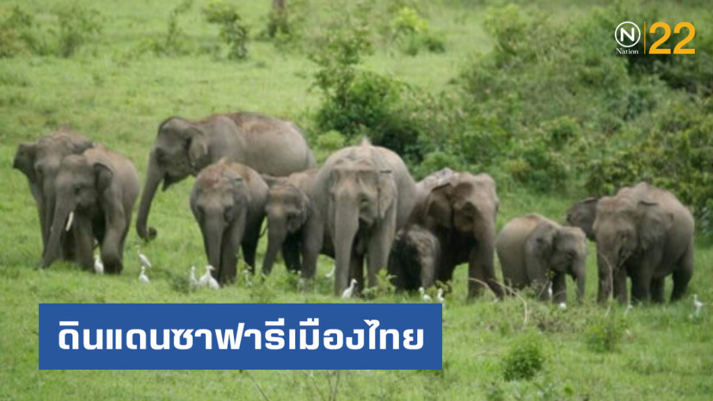 อุทยานแห่งชาติกุยบุรี ดินแดนซาฟารีเมืองไทย