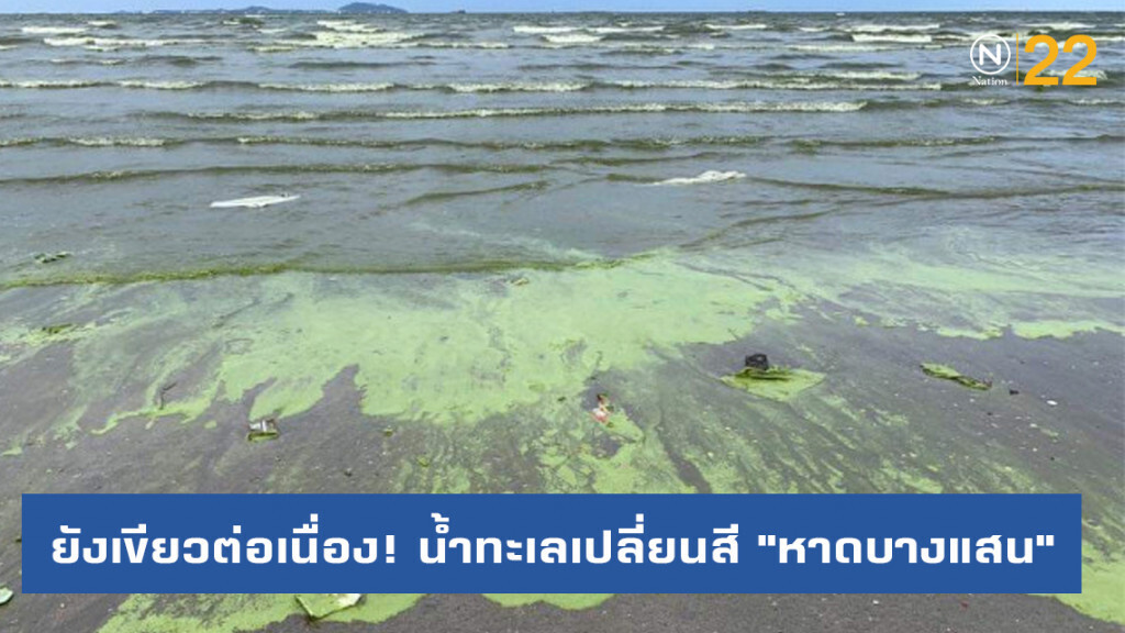 ยังเขียวต่อเนื่อง! น้ำทะเลเปลี่ยนสี "หาดบางแสน" เตือนห้ามจับสัตว์น้ำ - ลงเล่นน้ำ ยังเขียวต่อเนื่อง! น้ำทะเลเปลี่ยนสี "หาดบางแสน" เตือนห้ามจับสัตว์น้ำ - ลงเล่นน้ำ