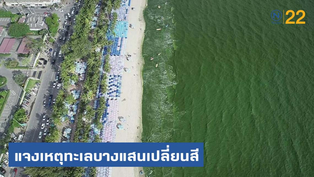 "แพลงก์ตอนบลูม" เหตุทะเลบางแสนมีสีเขียวเข้ม "แพลงก์ตอนบลูม" เหตุทะเลบางแสนมีสีเขียวเข้ม
