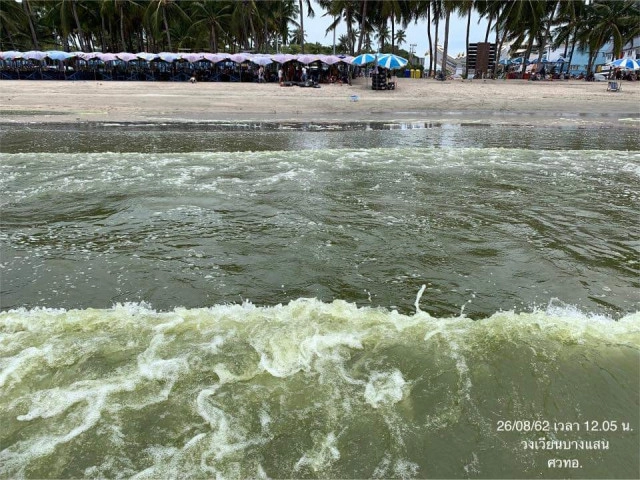 ยังเขียวต่อเนื่อง! น้ำทะเลเปลี่ยนสี​ "หาดบางแสน" เตือนห้ามจับสัตว์น้ำ​ -​ ลงเล่นน้ำ