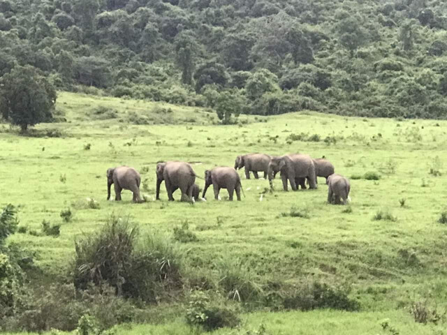 อุทยานแห่งชาติกุยบุรี ดินแดนซาฟารีเมืองไทย