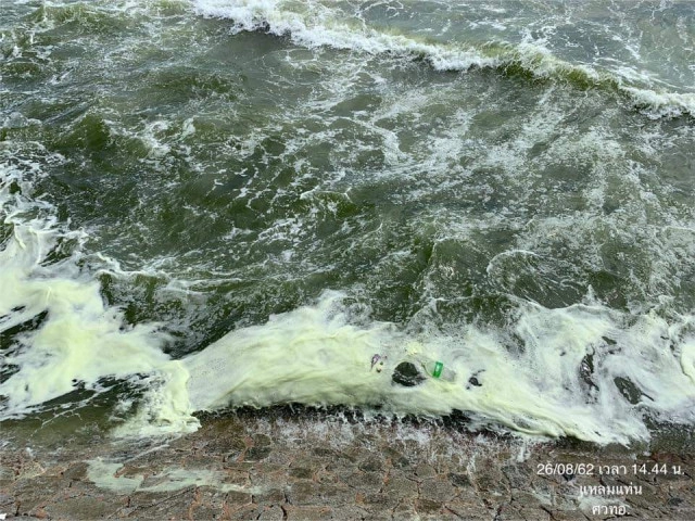 ยังเขียวต่อเนื่อง! น้ำทะเลเปลี่ยนสี​ "หาดบางแสน" เตือนห้ามจับสัตว์น้ำ​ -​ ลงเล่นน้ำ
