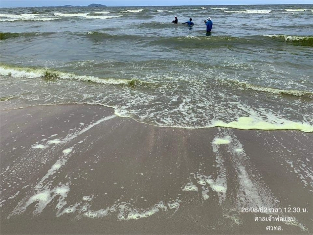 ยังเขียวต่อเนื่อง! น้ำทะเลเปลี่ยนสี​ "หาดบางแสน" เตือนห้ามจับสัตว์น้ำ​ -​ ลงเล่นน้ำ