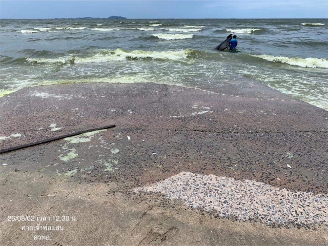 ยังเขียวต่อเนื่อง! น้ำทะเลเปลี่ยนสี​ "หาดบางแสน" เตือนห้ามจับสัตว์น้ำ​ -​ ลงเล่นน้ำ