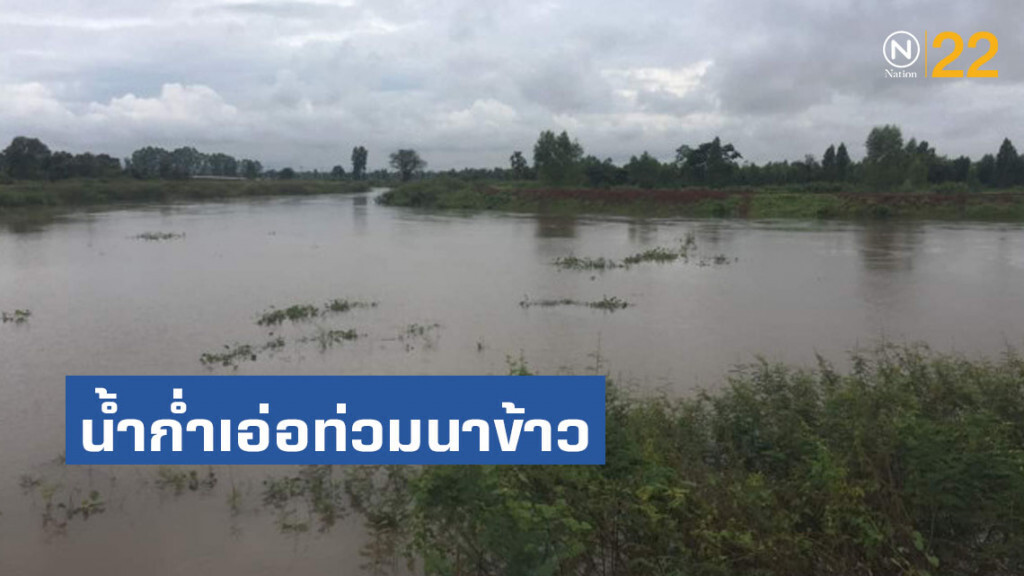 น้ำก่ำเอ่อท่วมนาข้าว 3 พันไร่ จ่อทะลักเข้า 300 ครัวเรือน จ.นครพนม