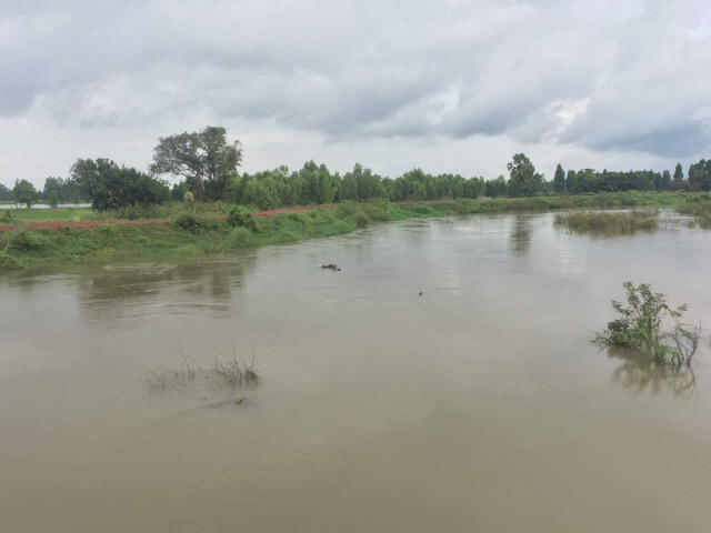น้ำก่ำเอ่อท่วมนาข้าว 3 พันไร่ จ่อทะลักเข้า 300 ครัวเรือน จ.นครพนม