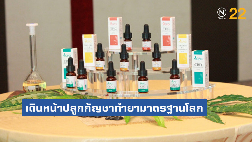 อภ.เดินหน้าปลูกกัญชาทำยามาตรฐานโลก