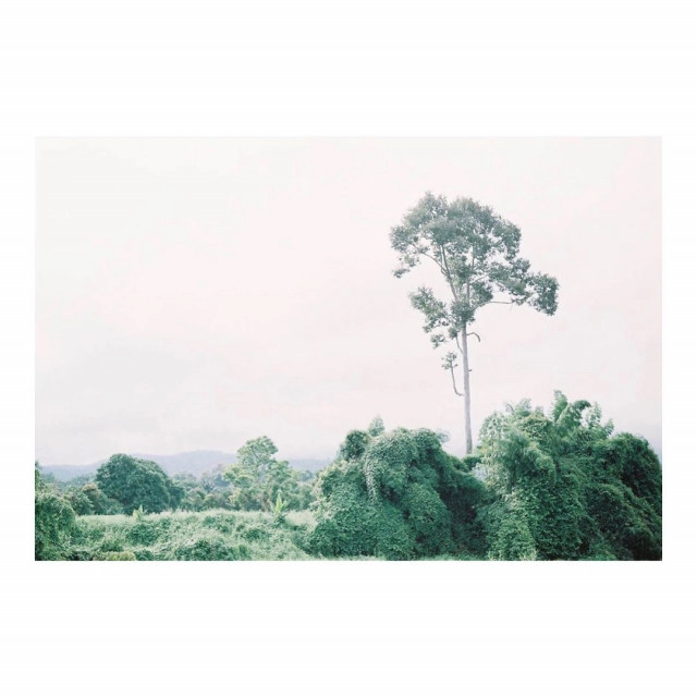 "เวียร์" โพสต์ภาพสยบข่าวลือ! คบซ้อน "เบลล่า" คอมเมนท์ทันควัน