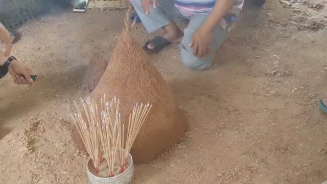 คอหวยแห่ขอเลขเด็ด "จอมปลวกพญานาค"