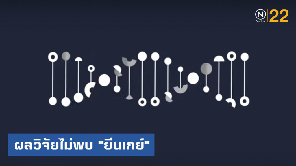 ผลวิจัยไม่พบ "ยีนเกย์" ทำให้รักเพศเดียวกัน ผลวิจัยไม่พบ "ยีนเกย์" ทำให้รักเพศเดียวกัน