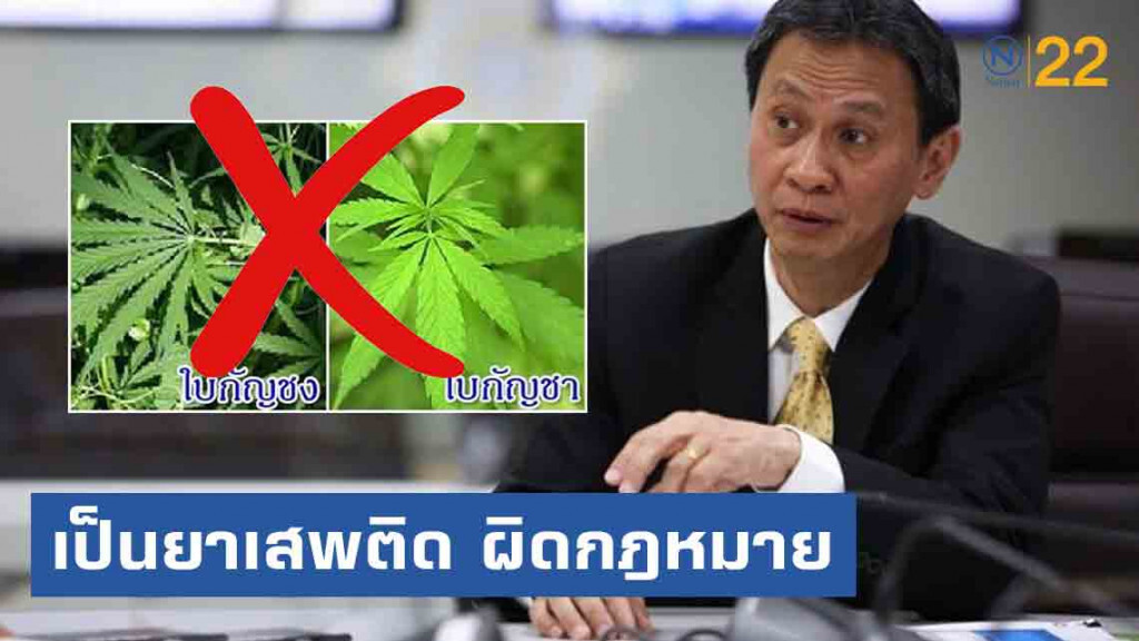 ป.ป.ส.เคลียร์ชัด กัญชา-กัญชง ยังเป็นยาเสพติด