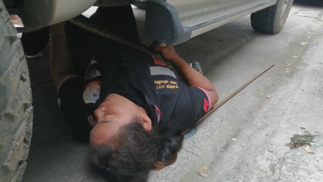 อึ้ง ทึ่ง เสียว ! "กู้ภัยสาว" มุดใต้ท้องรถจับ "น้องเหลือม"
