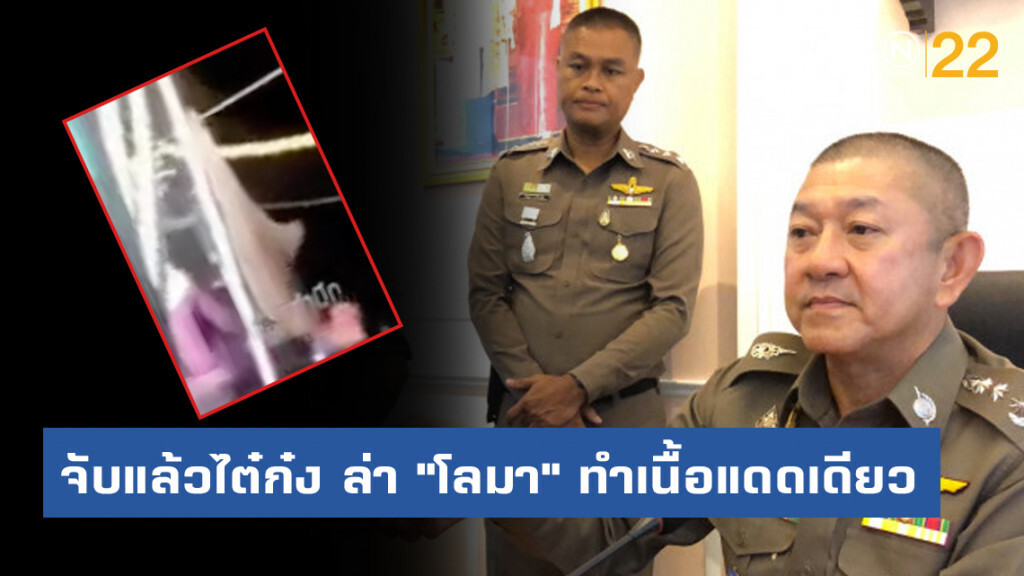 จับแล้วไต๋ก๋งเรือประมงไทย ล่า "โลมา" ทำเนื้อแดดเดียว