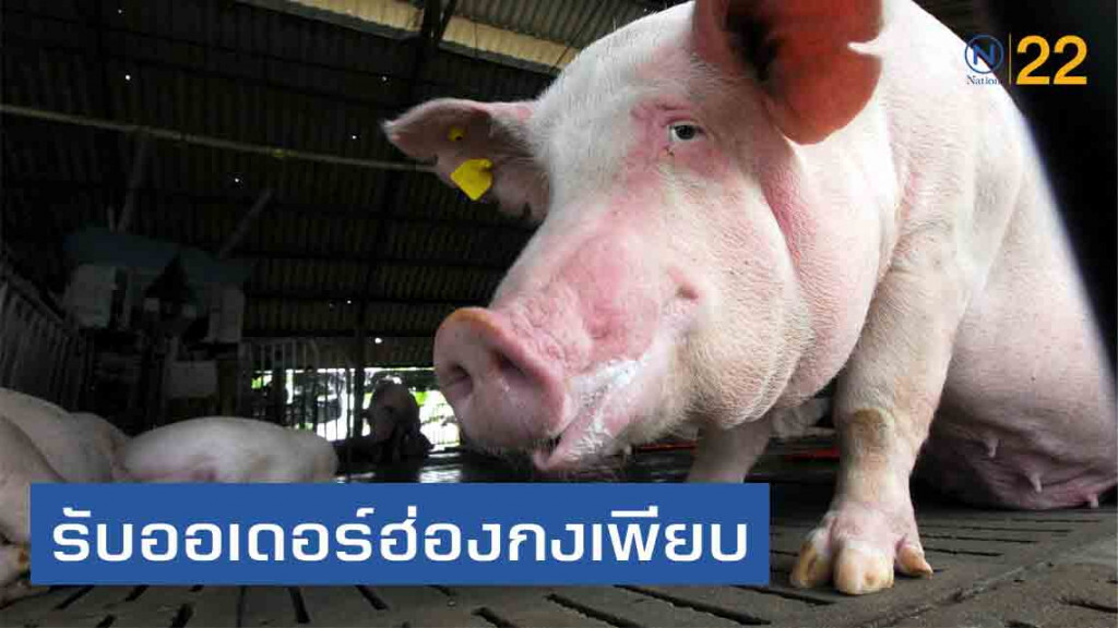 หมูไทยเนื้อหอมรับออเดอร์ฮ่องกงเพียบ หลังป้อง ASF เข้มต่อเนื่อง