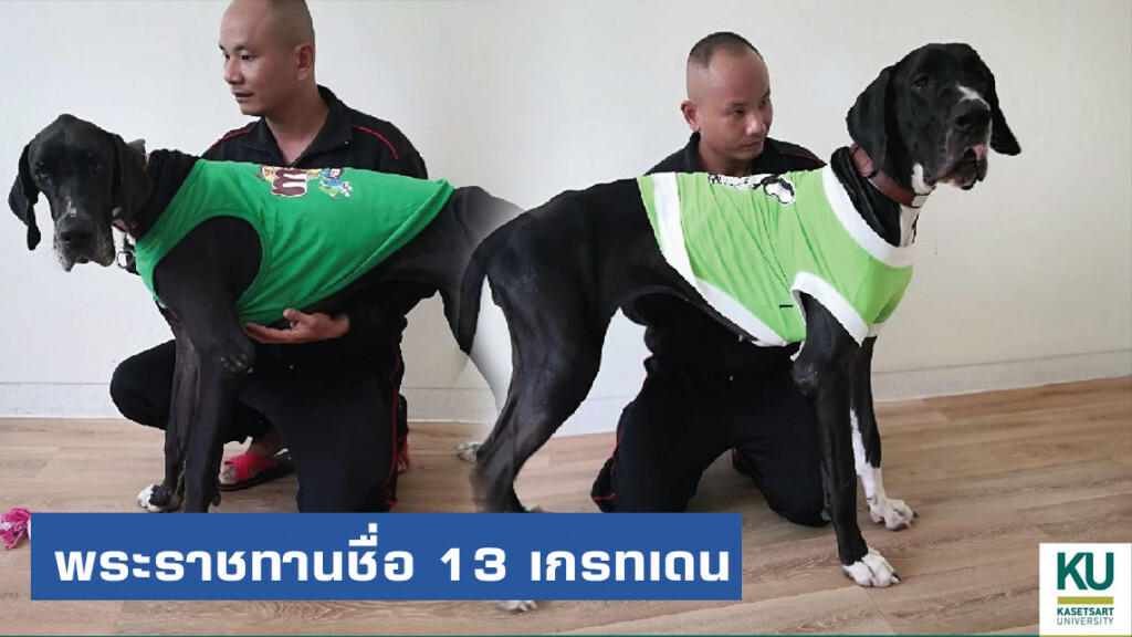 พระราชทานชื่อ 13 เกรทเดน เป็นกลุ่มดอกไม้