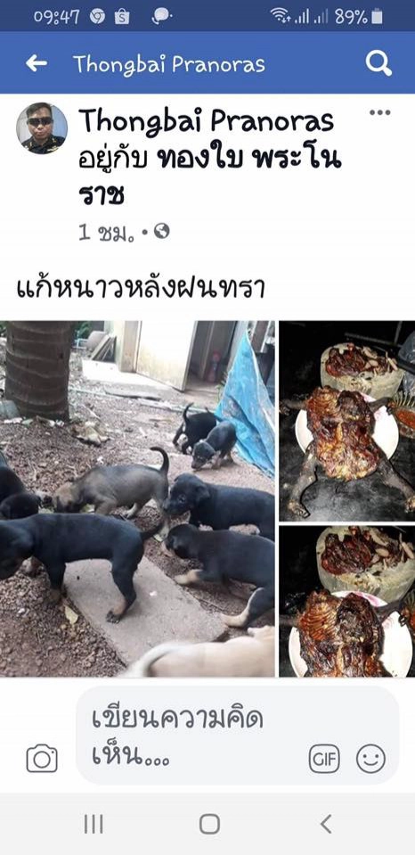 จวกยับ!....จนท.ราชทัณฑ์ โพสต์ภาพย่าง "ลูกหมา" กินคลายหนาว