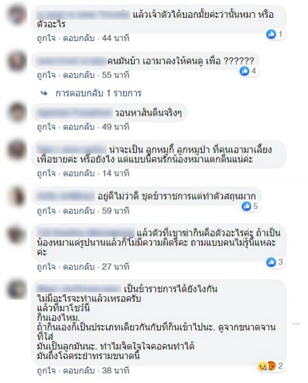 จวกยับ!....จนท.ราชทัณฑ์ โพสต์ภาพย่าง "ลูกหมา" กินคลายหนาว