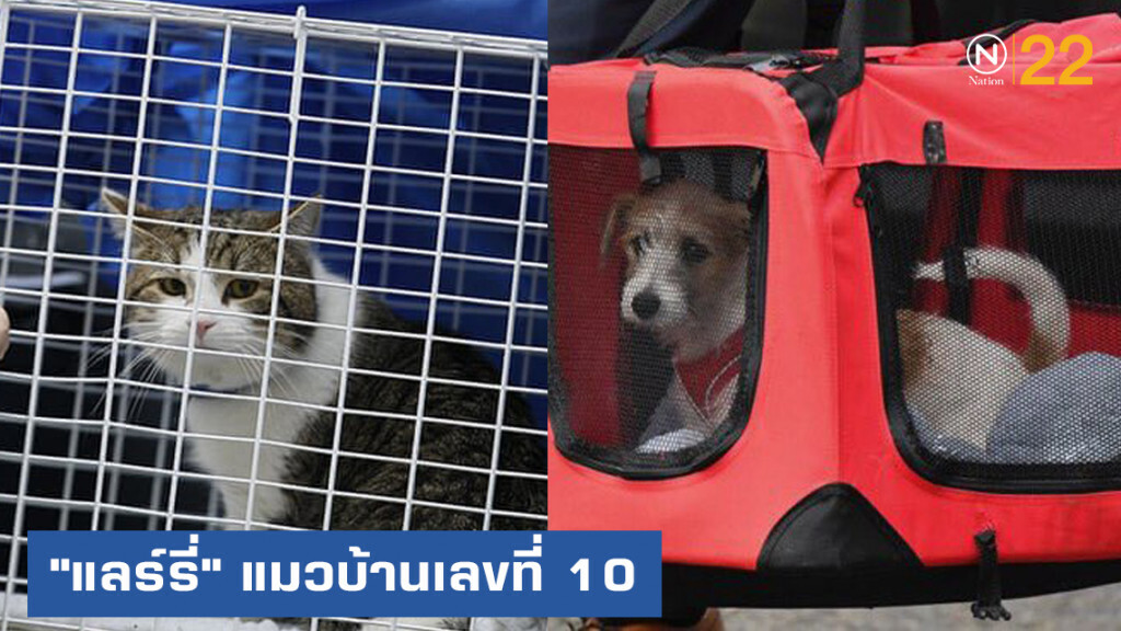 "แลร์รี่" แมวบ้านเลขที่ 10 ยังคงความฮอตไม่เลิก "แลร์รี่" แมวบ้านเลขที่ 10 ยังคงความฮอตไม่เลิก