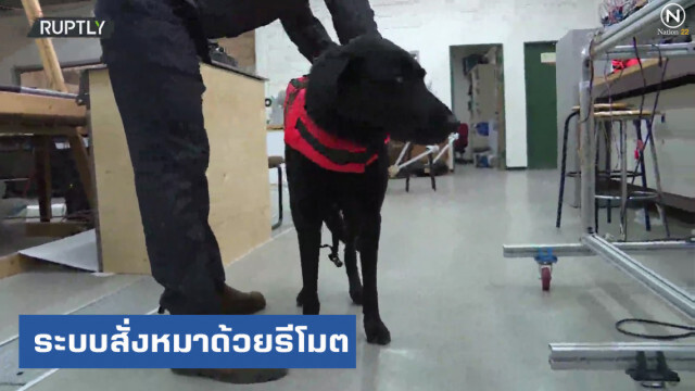 สุดยอด.....อิสราเอลสร้างระบบสั่ง "หมา" ด้วยรีโมต