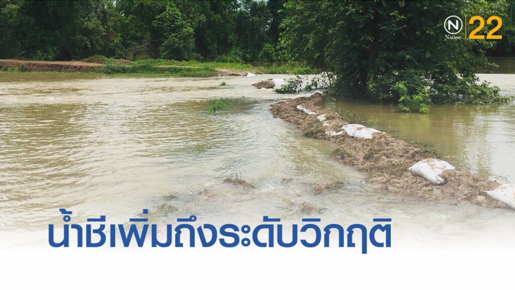 กาฬสินธุ์ปักธงแดงเตือน หลัง "แม่น้ำชี" เพิ่มสูงถึงระดับวิกฤติ