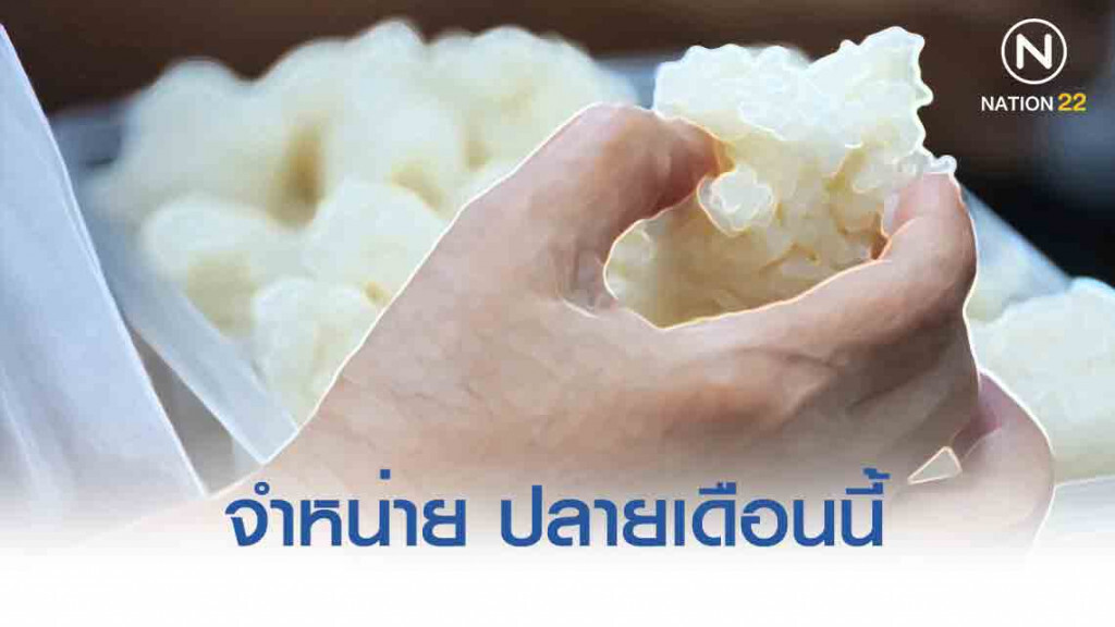 ใกล้แล้ว! ข้าวเหนียวถุงราคาประหยัด 3 แสนถุง ปล่อยขายปลายเดือนนี้