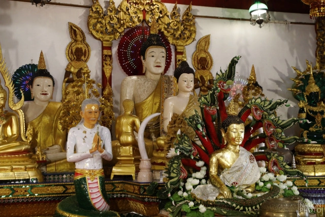 ศุกร์ (สุข) ละวัด : วัดไทยสามัคคี