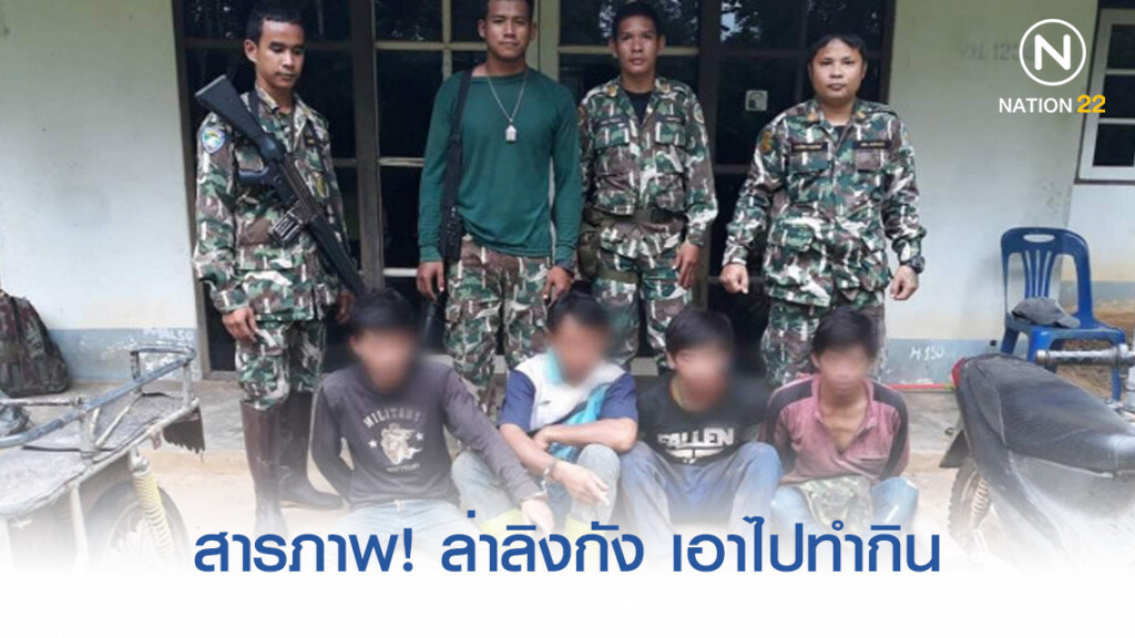 รวบ 4 คนงานชาวลาว ล่าลิงกัง​ป่าเขาอ่างฤาไน​ สารภาพ! ​เอาไปทำกิน
