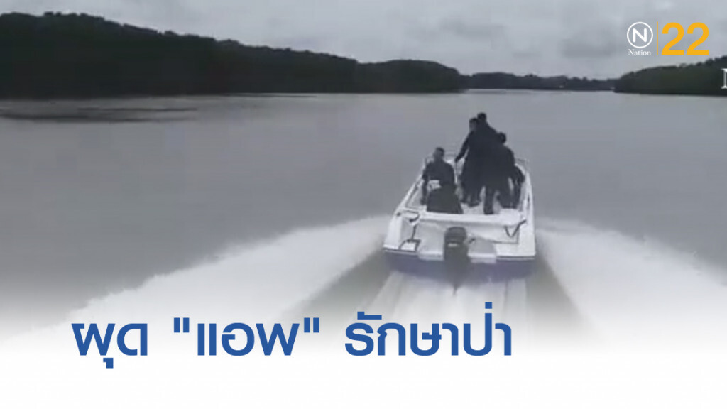 ผุดไอเดีย....."แอพลิเคชั่น" รักษาป่า