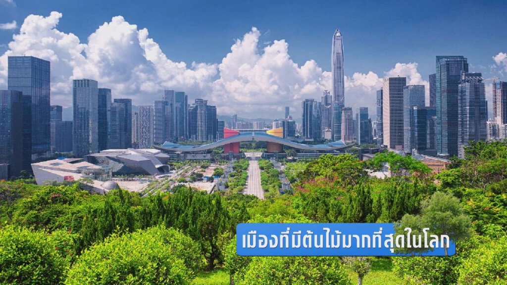เมืองที่มี..ต้นไม้มากที่สุดในโลก เมืองที่มี..ต้นไม้มากที่สุดในโลก