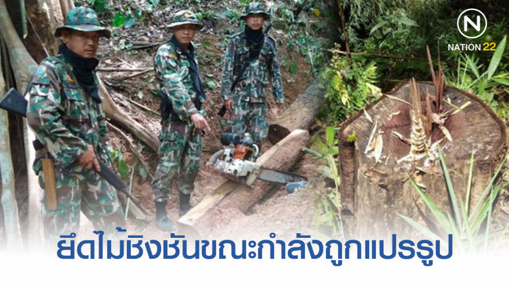 เจอจะจะ! ตัดไม้ชิงชันแปรรูปกลางป่าดอยภูนาง​ คนร้ายไหวตัวหนีไปได้
