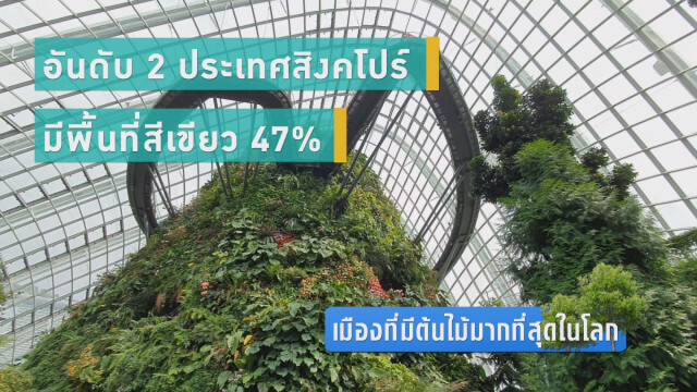 เมืองที่มี..ต้นไม้มากที่สุดในโลก