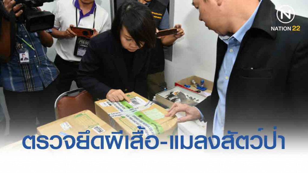 ศุลกากร ตรวจยึดผีเสื้อ-แมลงสัตว์ป่า ห้ามนำเข้า-ส่งออก