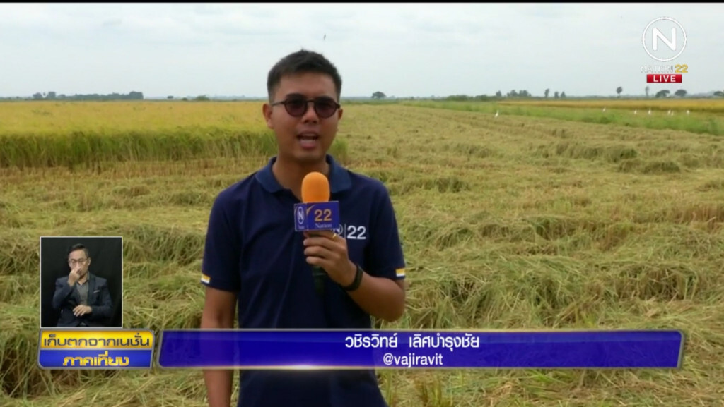 ชาวบางบาลเร่งเกี่ยวข้าวรับน้ำเหนือหลาก ชาวบางบาลเร่งเกี่ยวข้าวรับน้ำเหนือหลาก